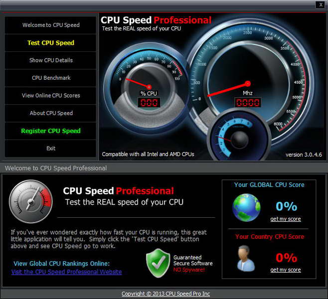 CPU Speed Professional