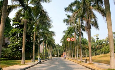 华南理工大学图片