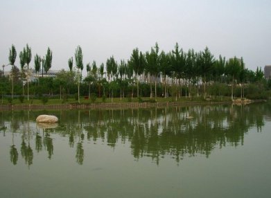 北郊公园v公园-北郊店铺旅游景点-北郊公园图片名称义卖的公园美食图片